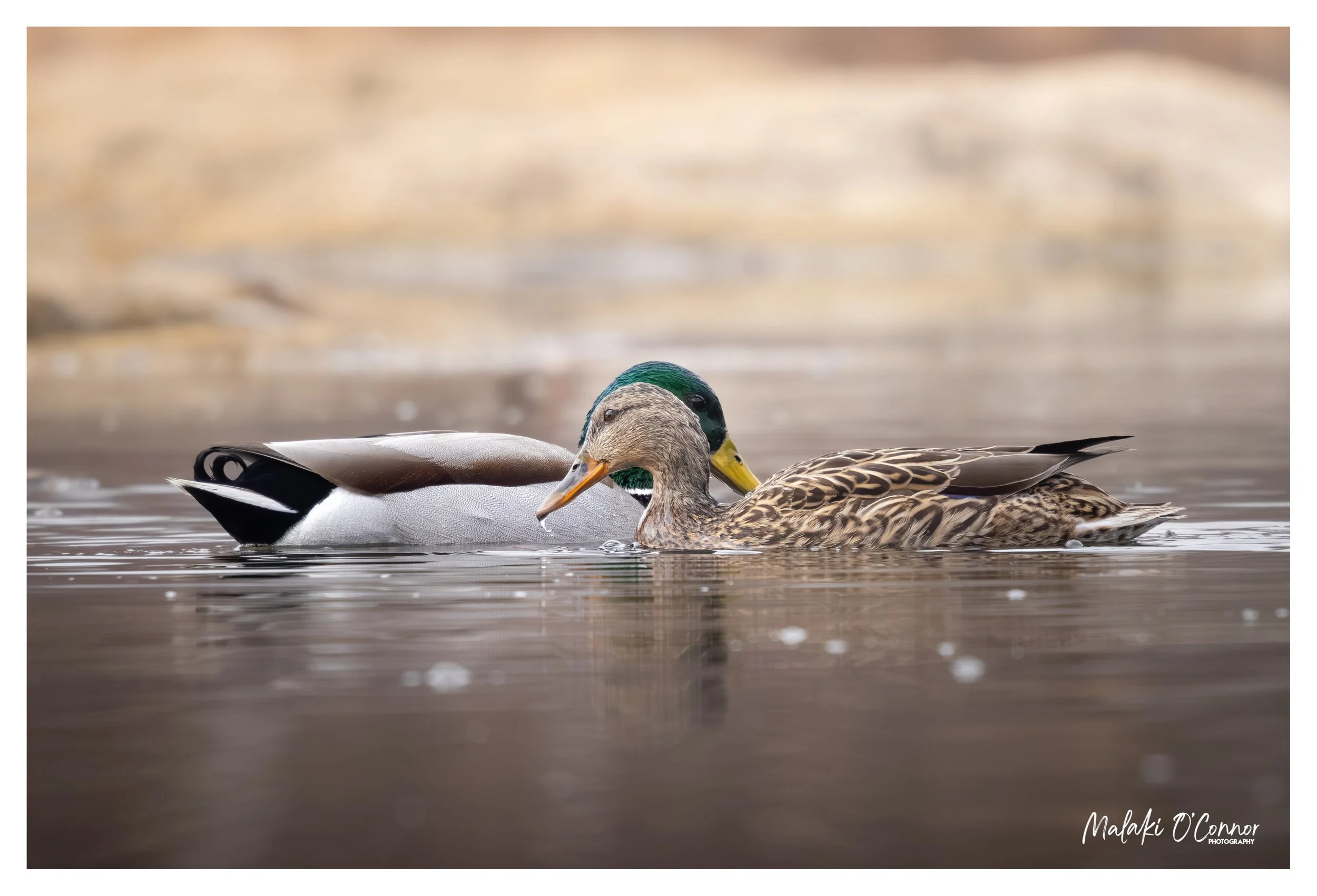"Drifting Together"