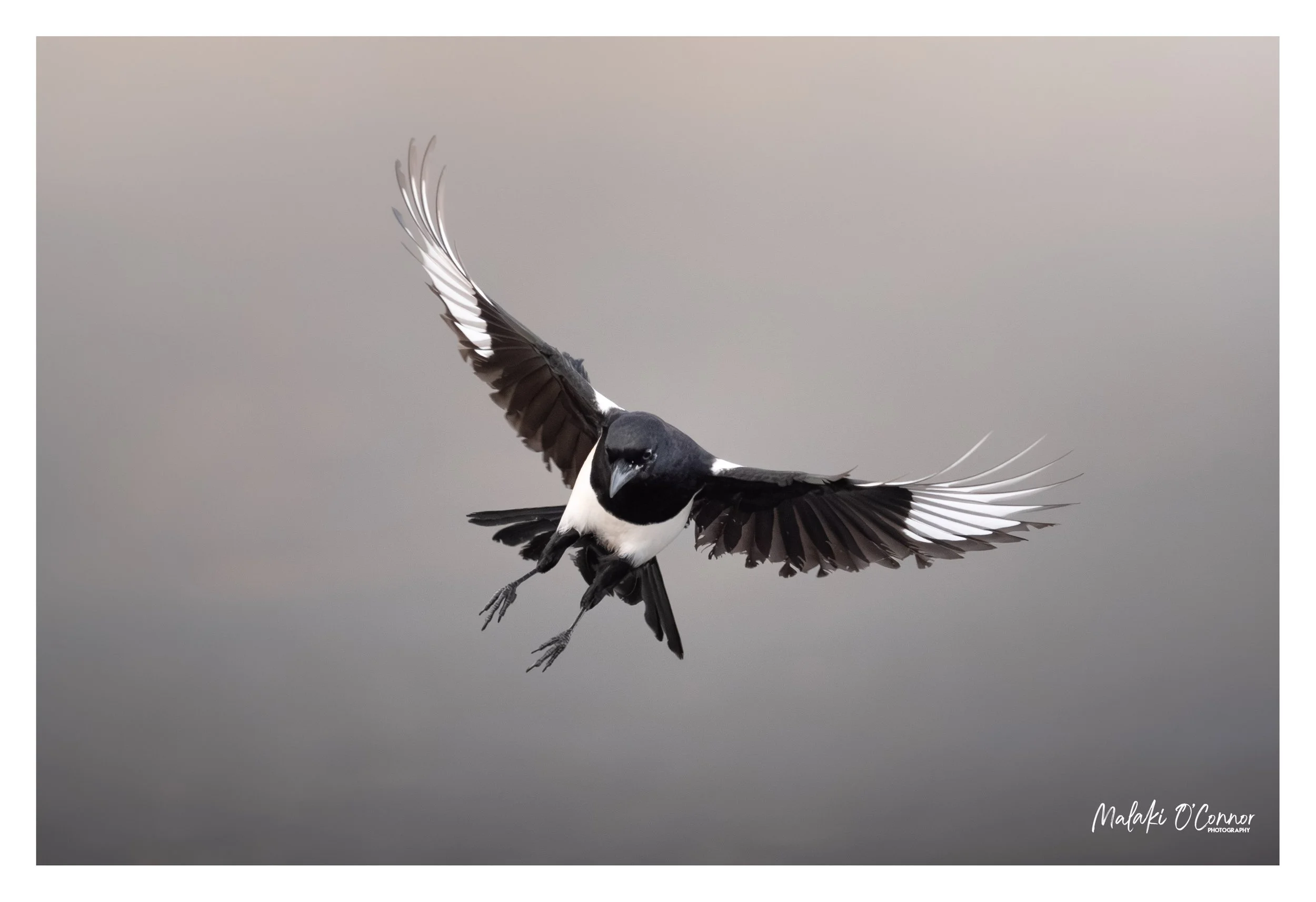 "Final Approach"