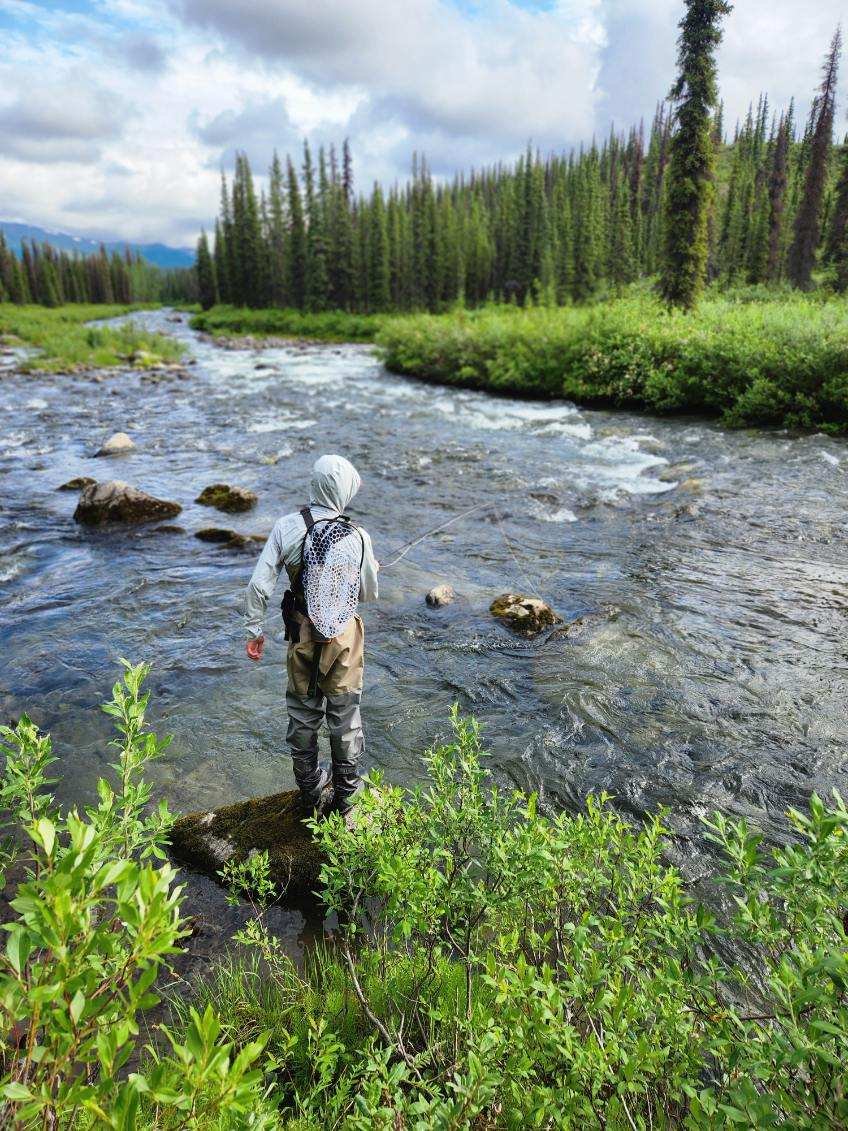 Denali Alaska Fly Fishing