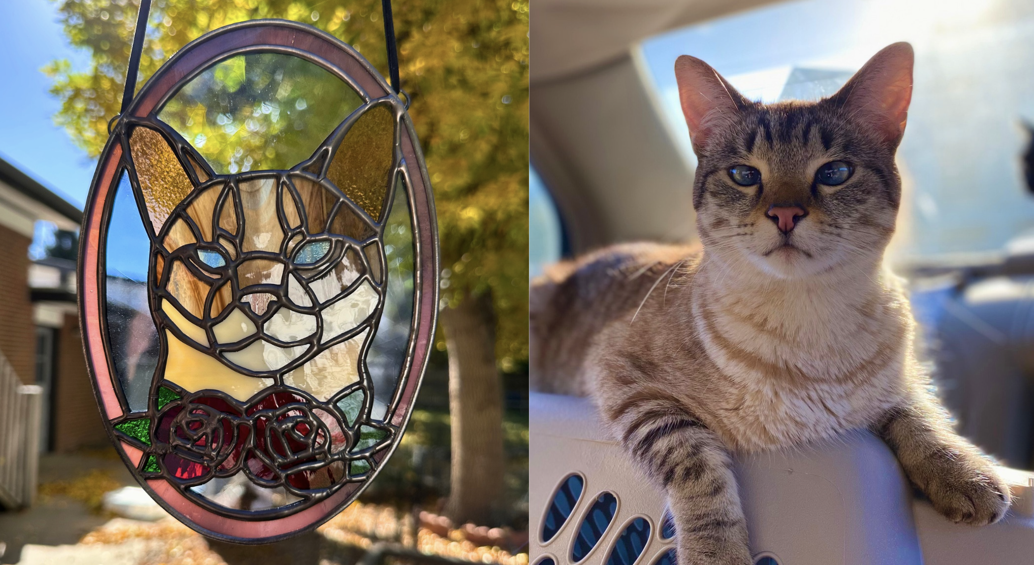A stained glass ornament in the shape of a lion's face with roses at the bottom, hanging outdoors with trees and a house in the background on a sunny day; a tabby cat with blue eyes and a striped coat resting on a white plastic surface inside a vehic
