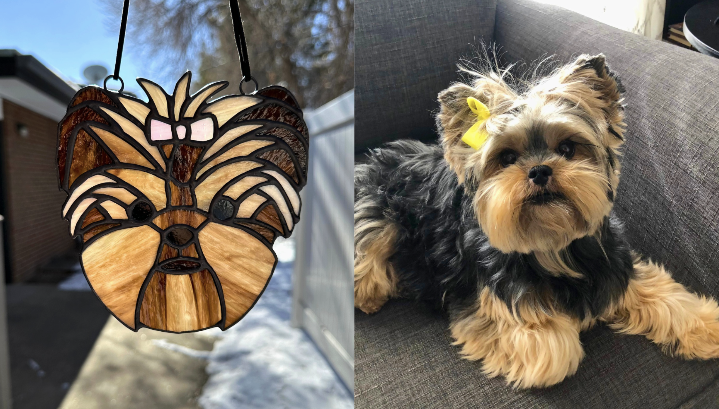 Stained glass ornament of a dog's face hanging outside, and a small Yorkshire Terrier with a yellow bow sitting on a couch indoors.