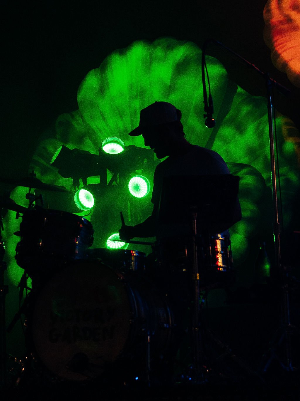 YTGphilly6-14-42.jpg