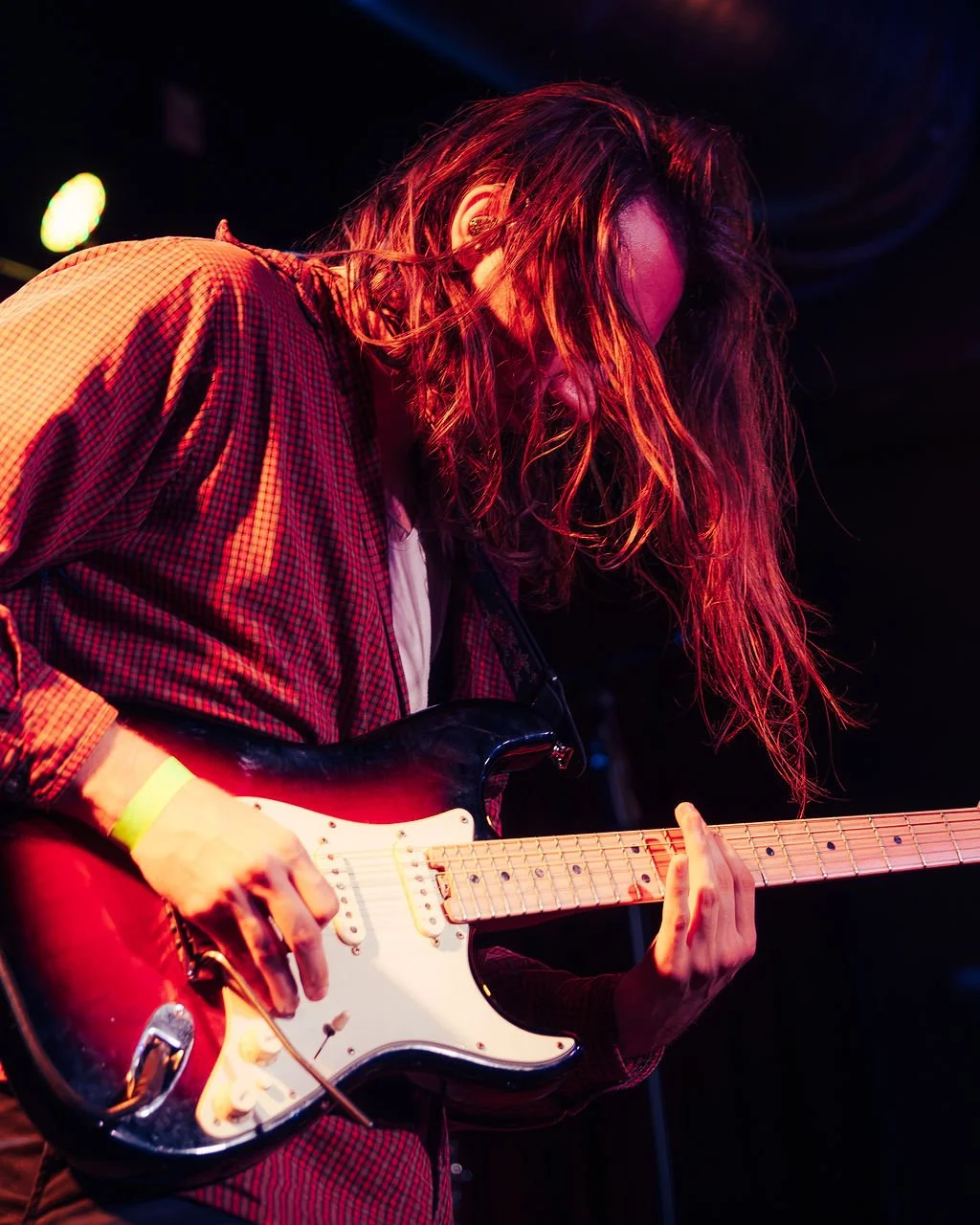 cardinalbloom10.18-7.jpg