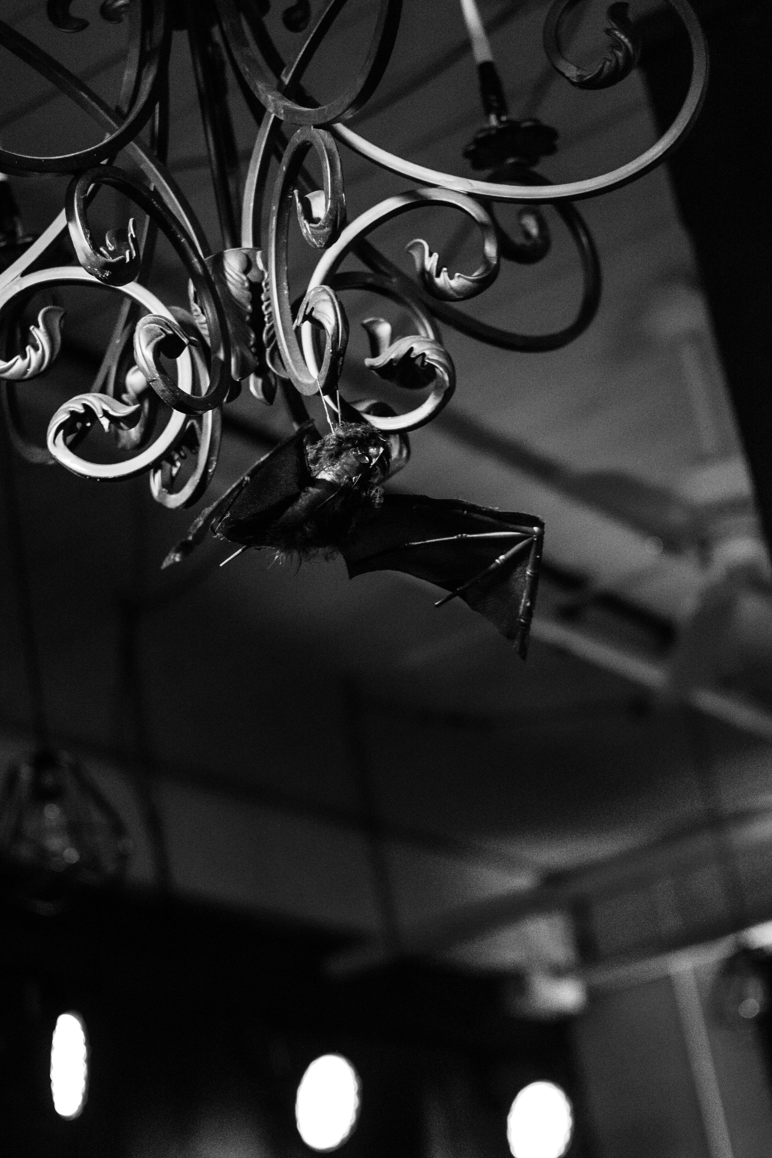 NS_BW-105.jpg