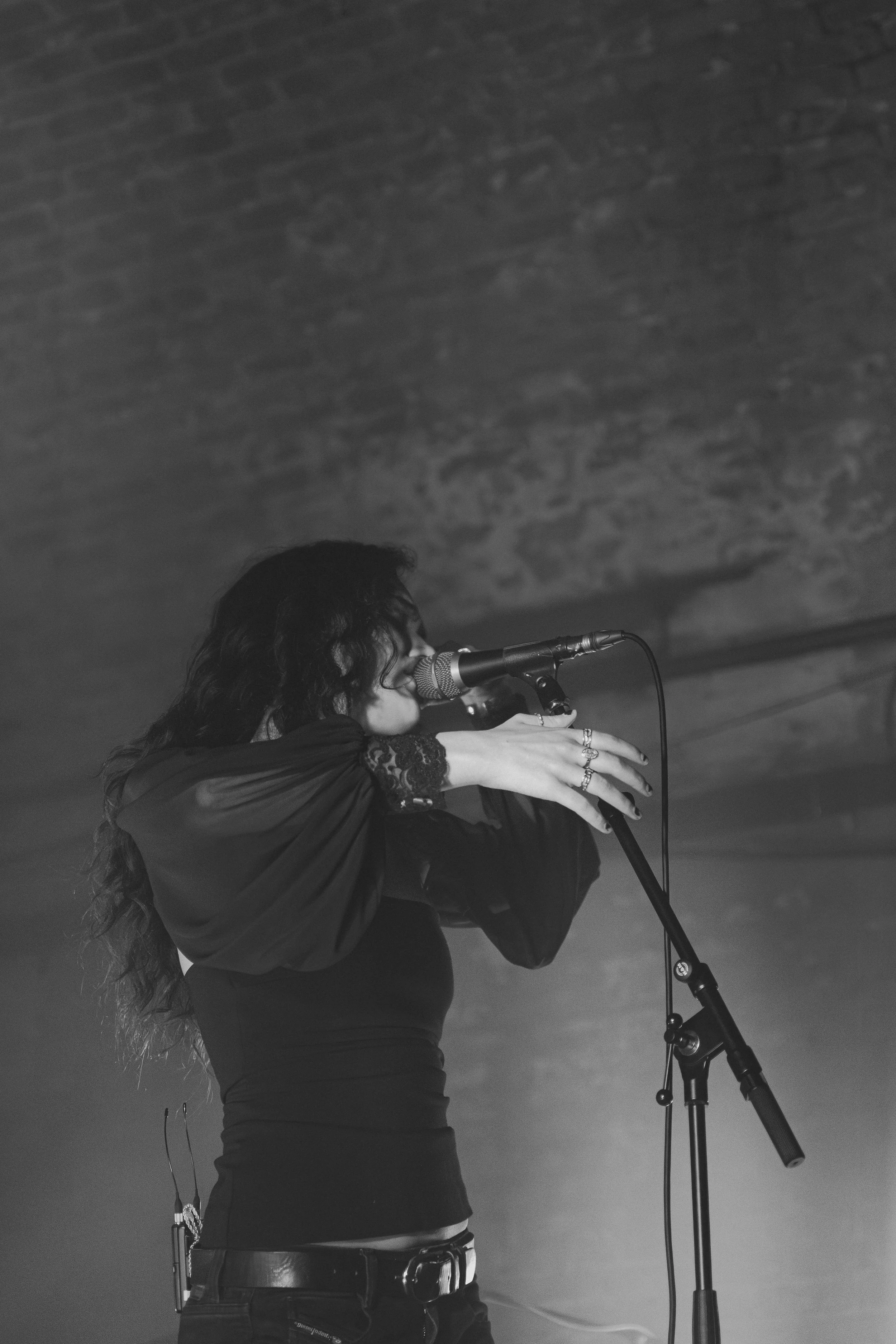_MG_3391.jpg