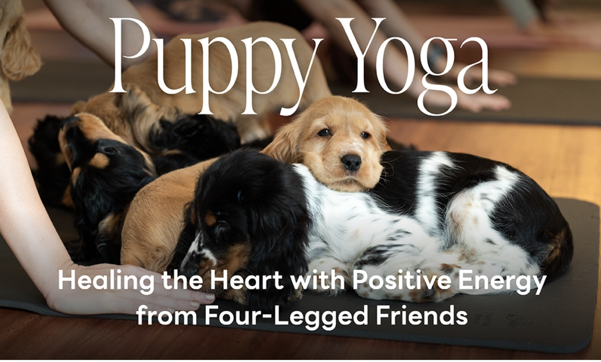 Puppy Yoga Adoption Day!!