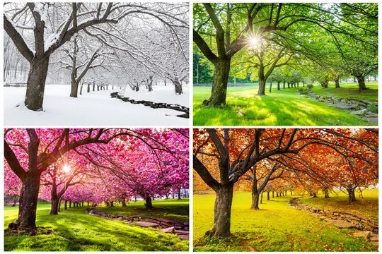 Four Seasons of Personal Discovery with Adam - Winter Solstice Edition