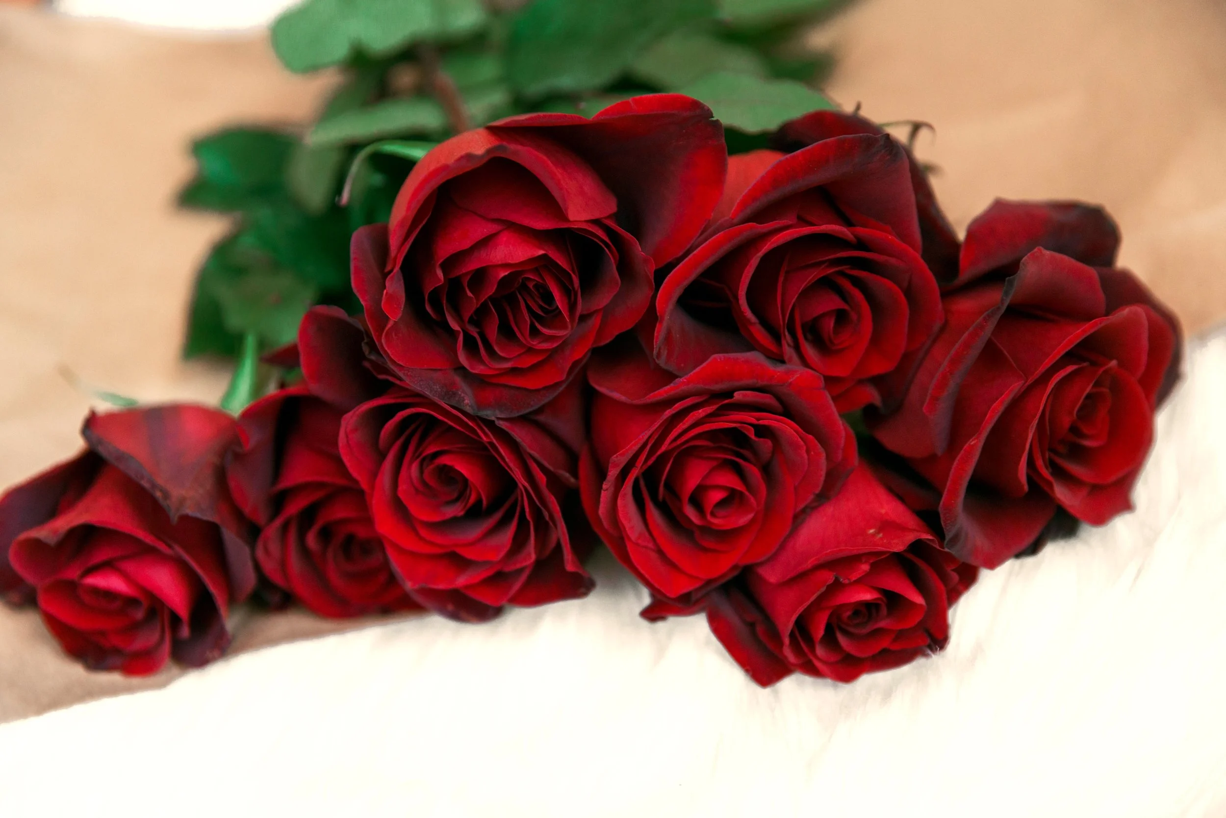 red-rose-bouquet-on-table.jpg