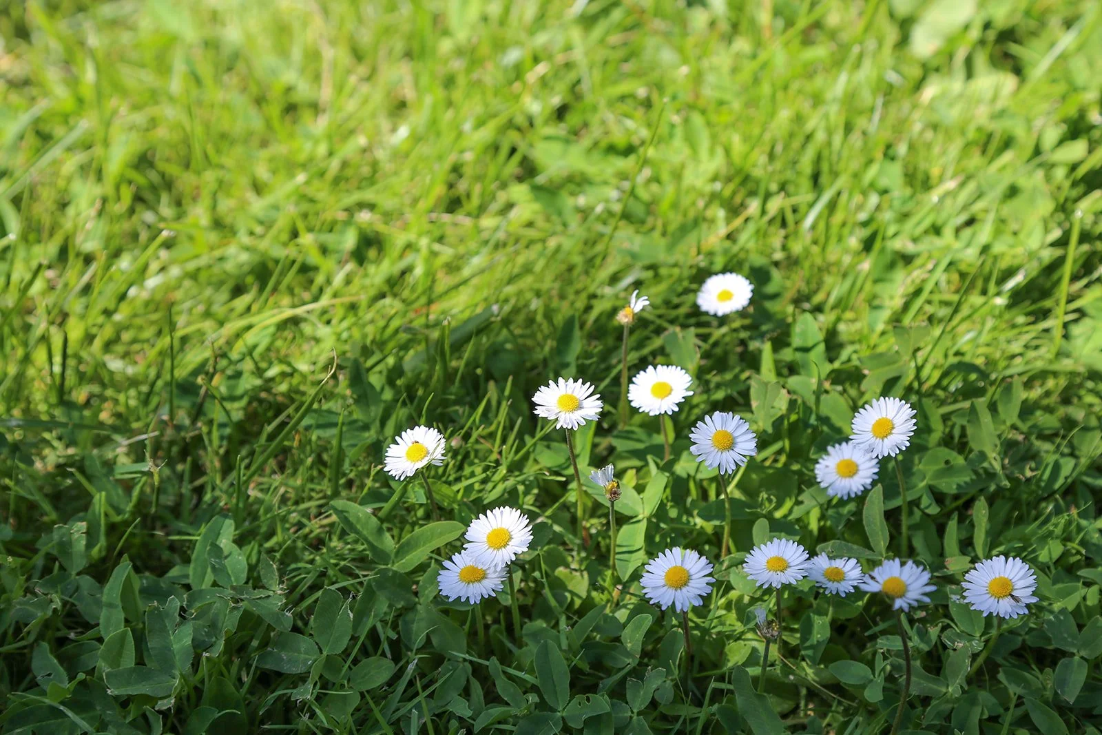 IMG_6494.jpg