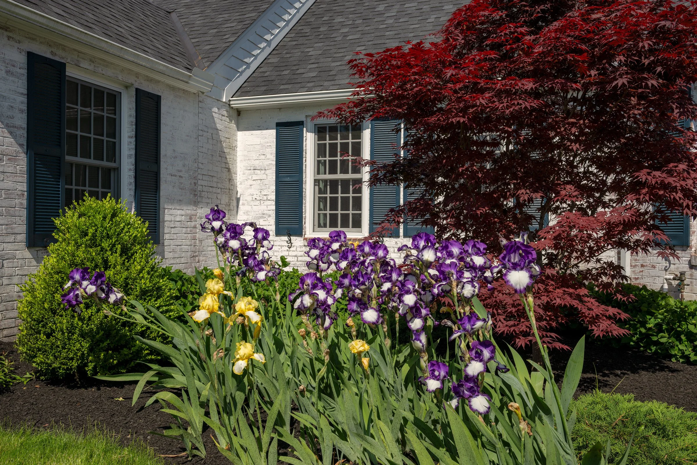 Flowers outside are the perfect pop of color.