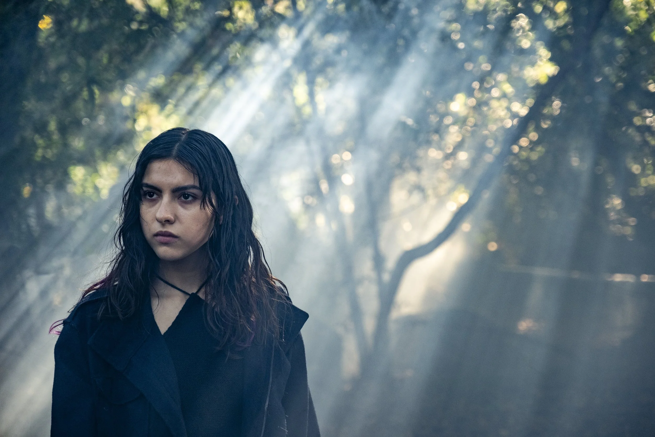 Anima determined still.jpg