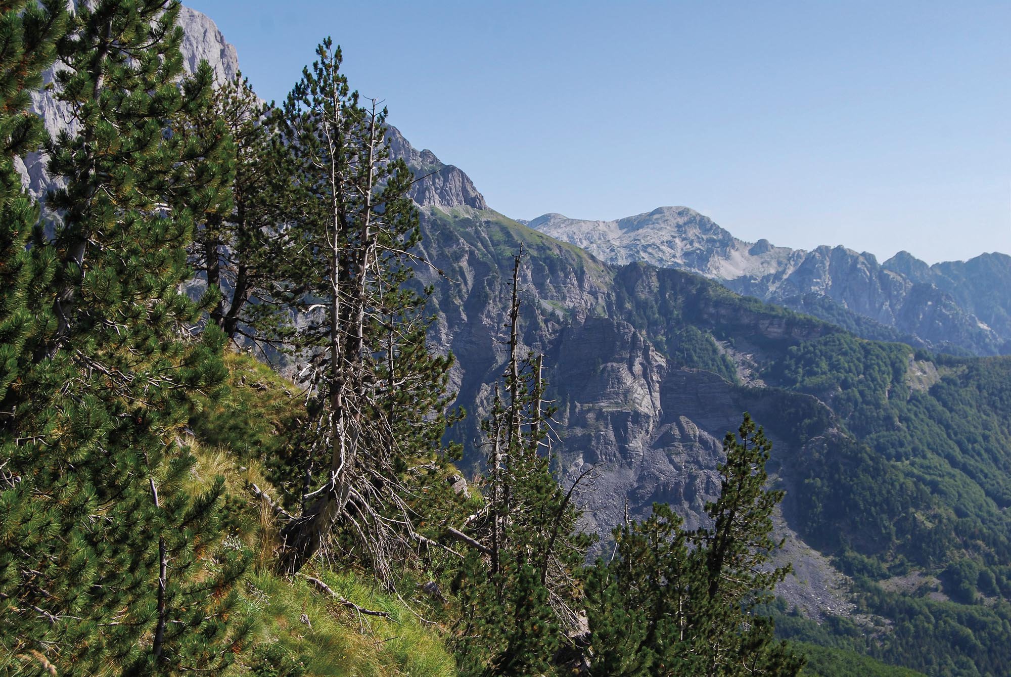Rapid assessment of environmental state in Shkodra Region