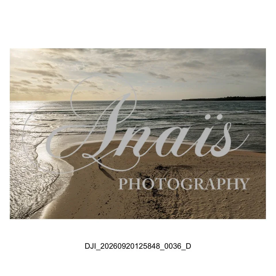 LD Gallery-016.jpg