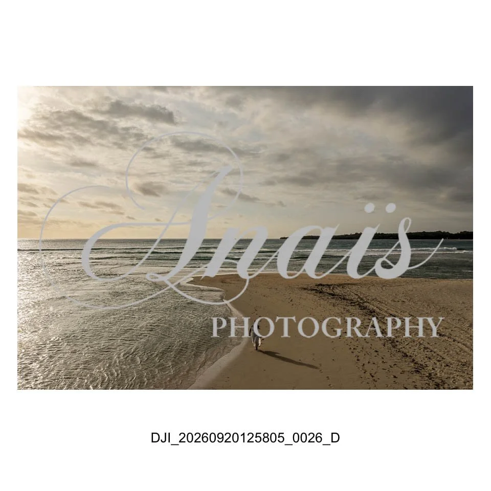 LD Gallery-010.jpg