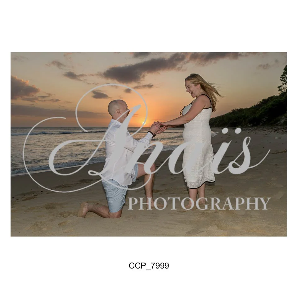 LD Gallery-233.jpg