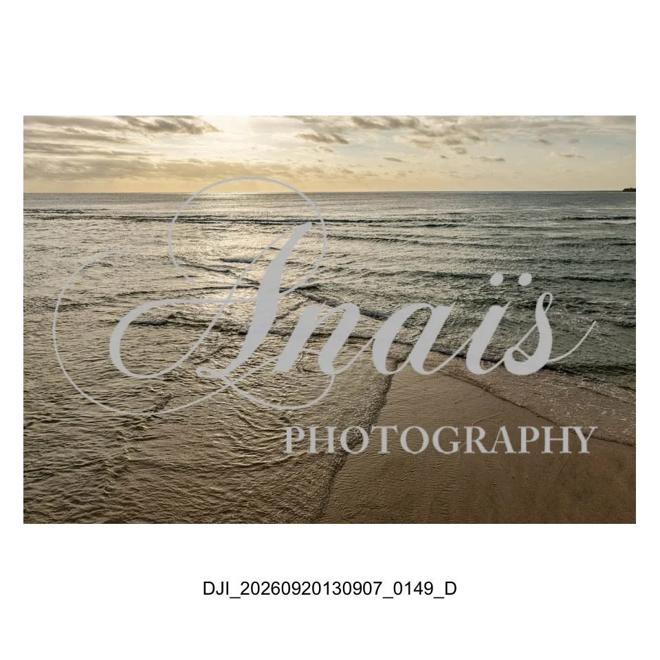 LD Gallery-062.jpg