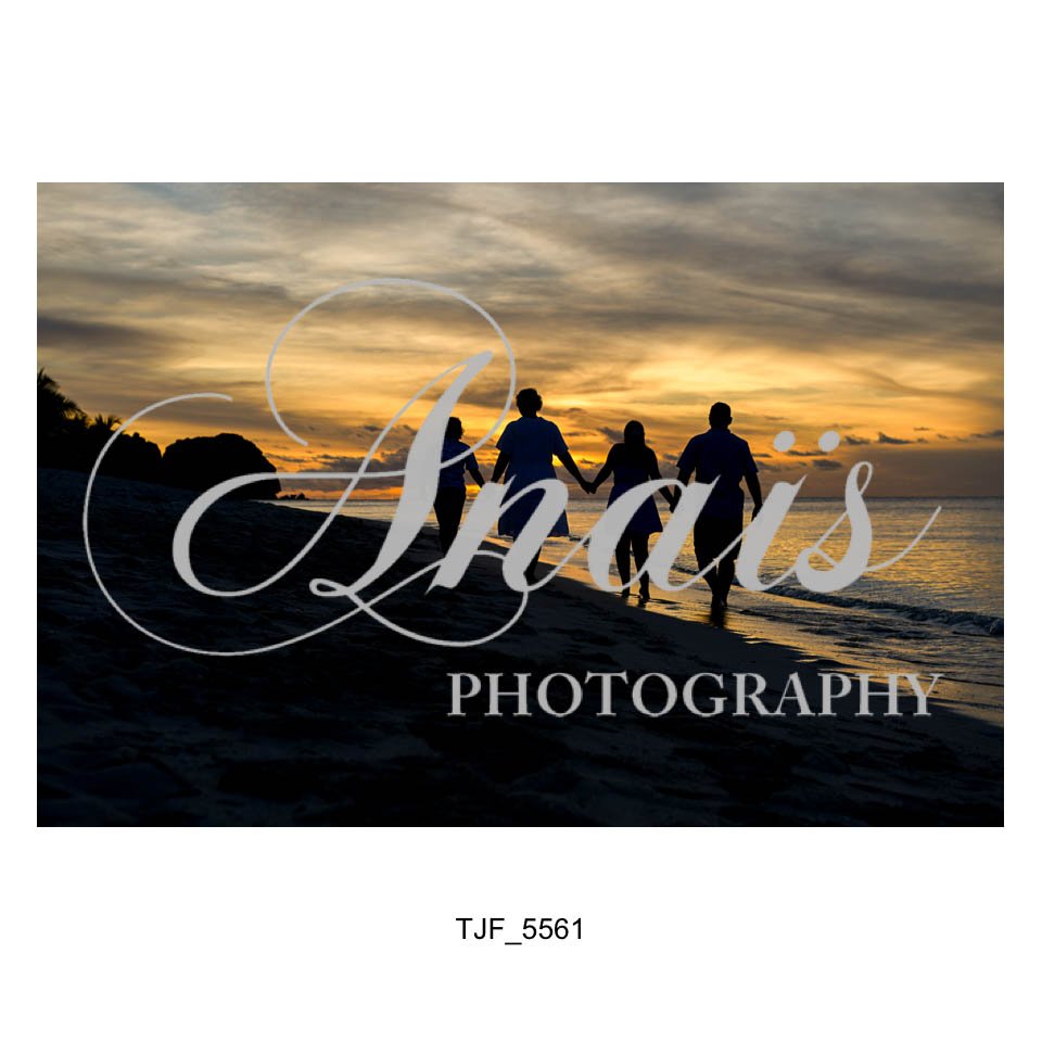 LD Gallery-367.jpg