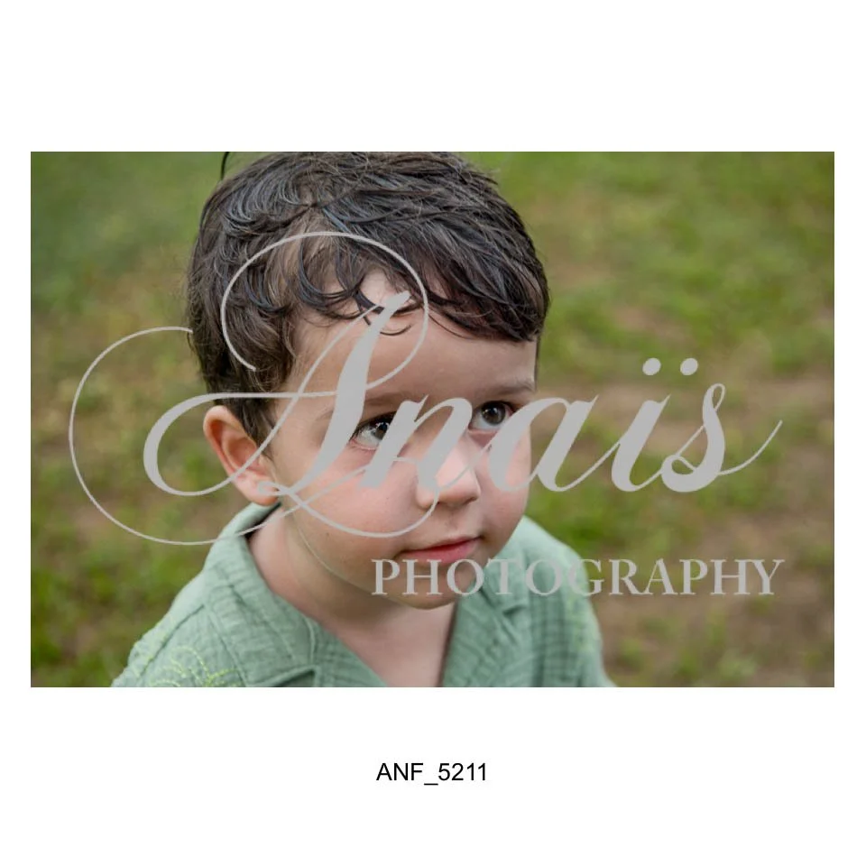 LD Gallery-100.jpg