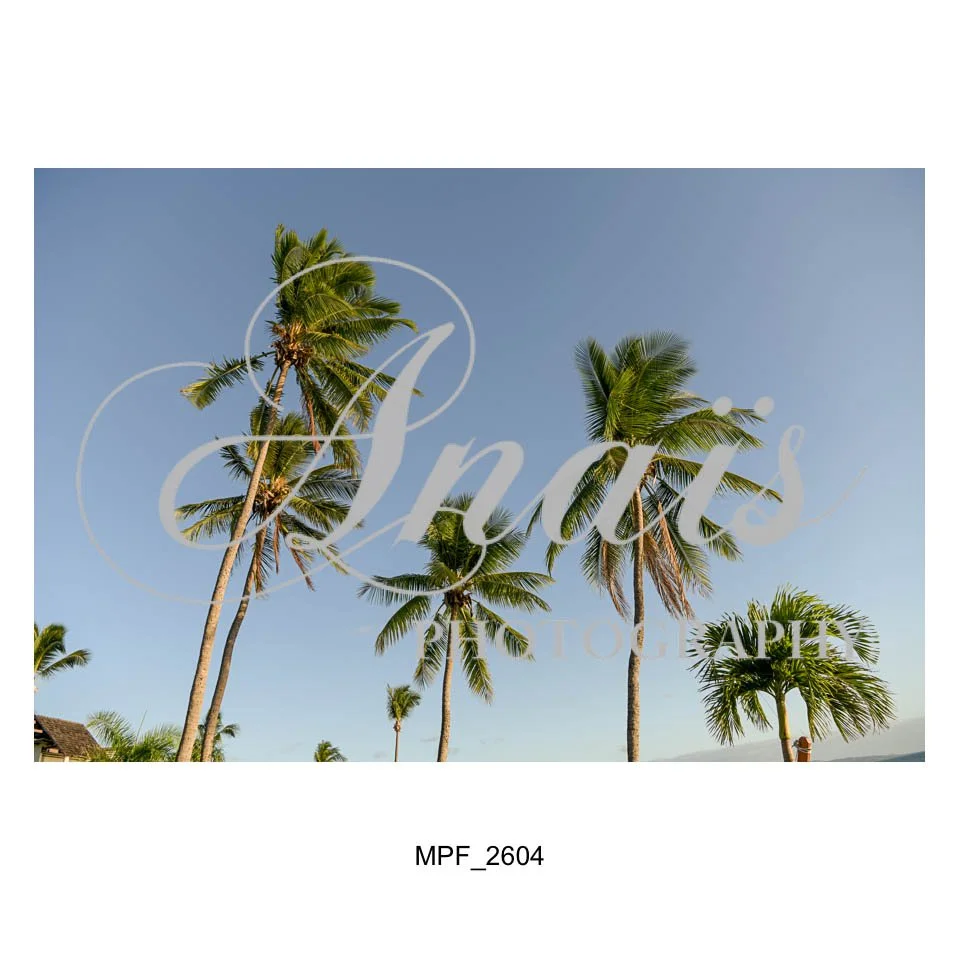 LD Gallery-001.jpg