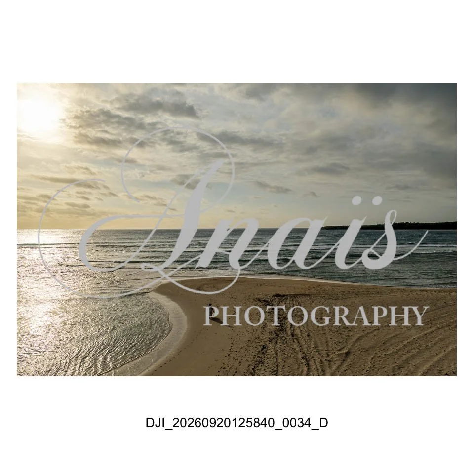 LD Gallery-015.jpg