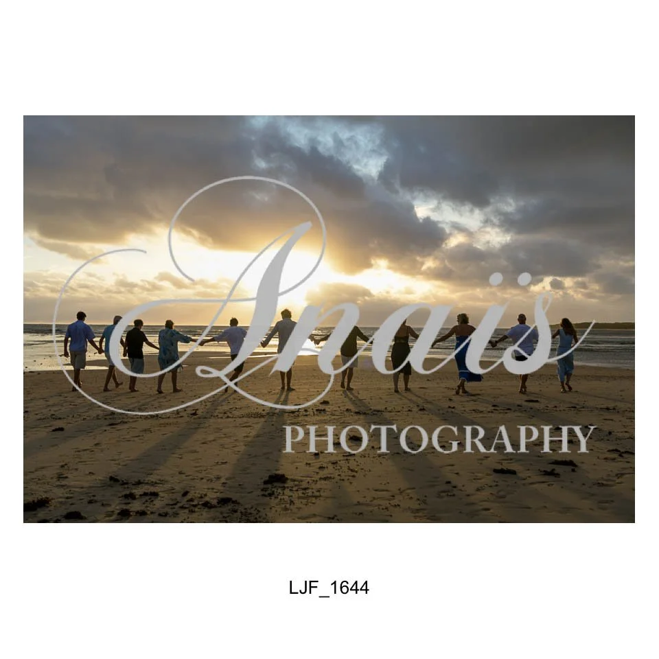 LD Gallery-221.jpg