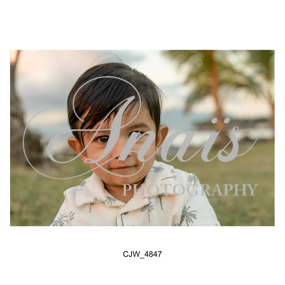 LD Gallery-19.jpg