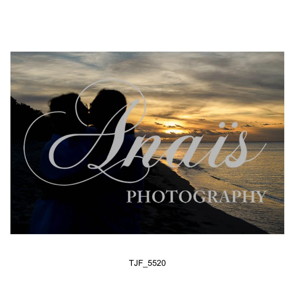 LD Gallery-356.jpg
