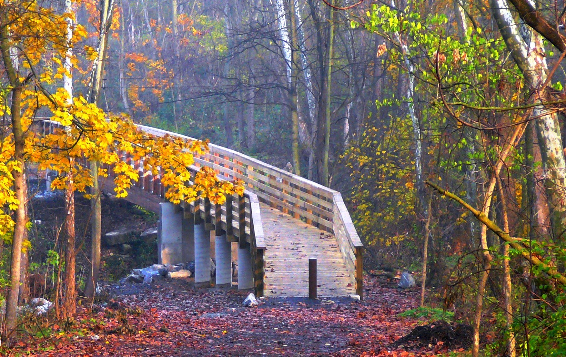 bridge 1.jpg