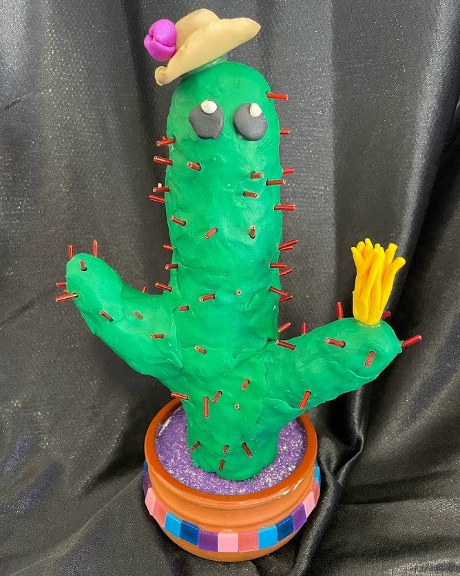 Happy World International Environment Day. Swipe to see how a local school reused our terracotta pots to create a cactus garden @we.are.all.creative . Tag us at #DIYWithChris to showcase how you are contributing to World Environment Day 🌏 !!

 #Chri