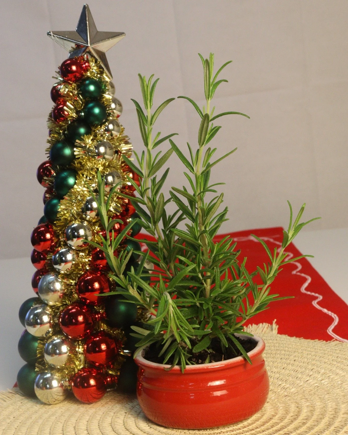 ✨In need of a perfect Christmas gift? Reuse our Terracotta pots for the perfect pot plant this Christmas season. 🎄☘️
 #dip #ChrisDips #Christmas #12daysofchristmas #potplant #diywithchris