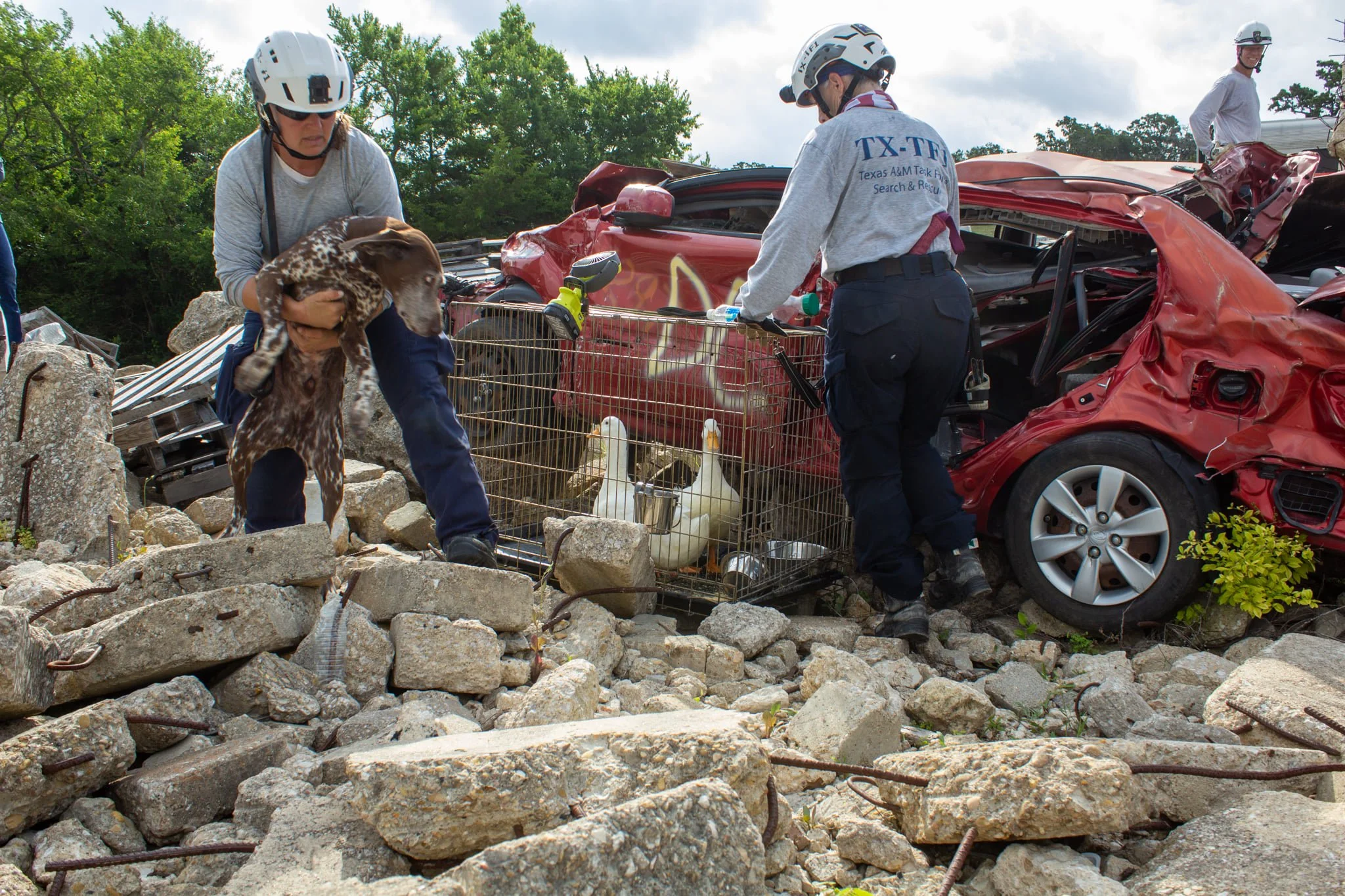 Distractions are often the top topic of discussion during a post deployment hotwash. What new distractions were in this environment that we haven't worked around before? What was the most challenging distraction for each dog? Are there new training o