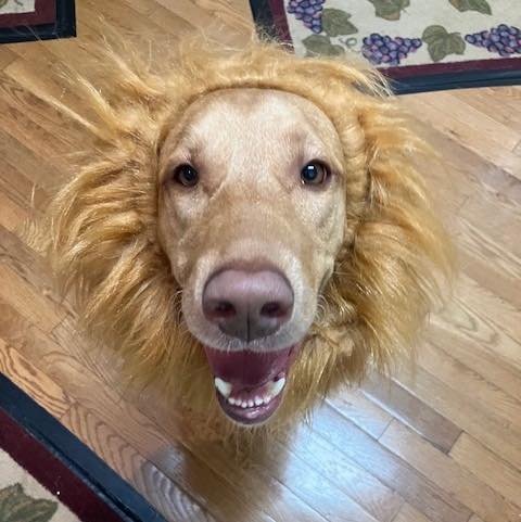 Happy Halloween from our ferocious alumni Rusty!