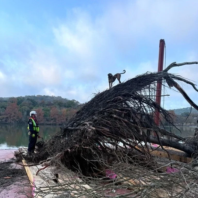 This Giving Tuesday, we&rsquo;re asking for your support to help us continue our mission. When you donate to Category 5 K9, you&rsquo;re investing in second chances, service, and the incredible capabilities of working dogs. Our work begins with shelt