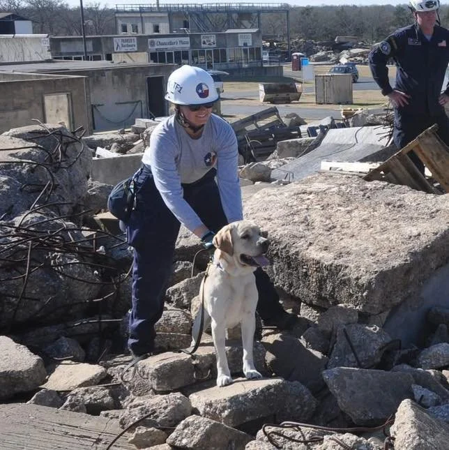 Rocky (aka Squish) has officially been paired with handler Farrah on Texas A&amp;M Task Force 1 and started training for USAR Live Find. We are excited to see this team progress! 

#petcolovepartners #disastersearchdog