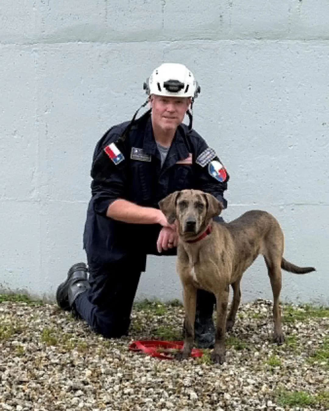 Congratulations to Bryan &amp; K9 Pferal and Christy &amp; K9 Canyon on passing their FEMA recertification tests! Pferal and Canyon are both Shelter to Search alumni that were found as strays. Amazing volunteers reached out when they recognized their