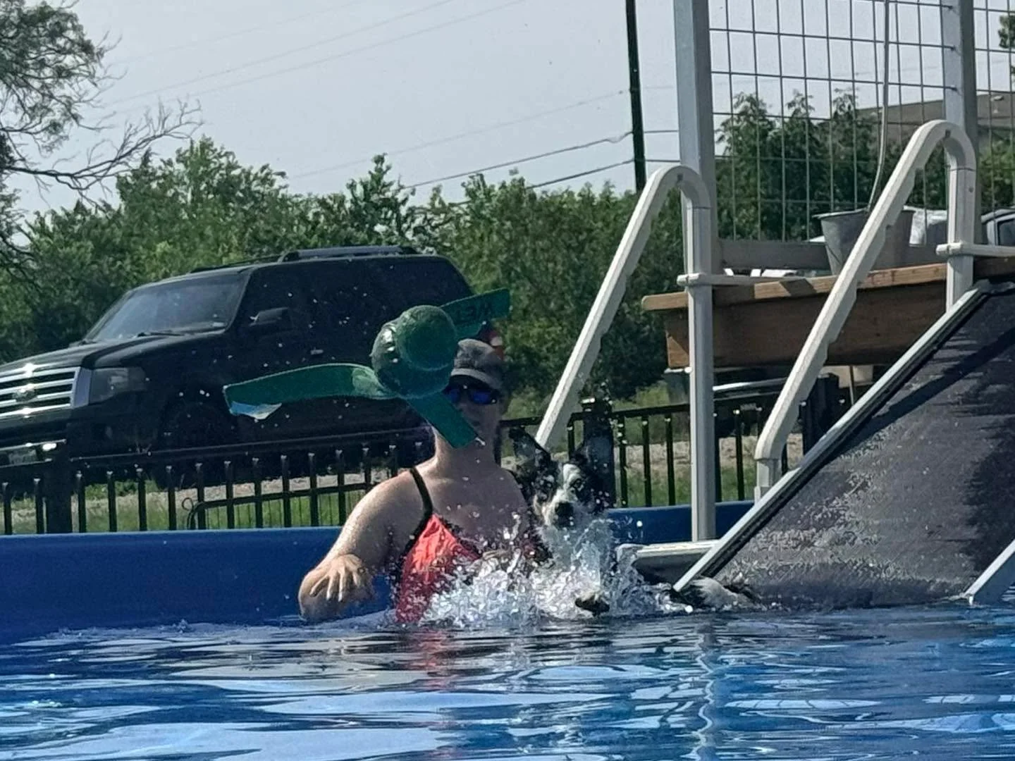 Pixel and Bruno had a great visit to Einstein K9 LLC&rsquo;s dock diving pool this weekend. Pixel is feeling much more confident about swimming on his second visit and Bruno picked up swimming super fast. 

Both Pixel and Bruno are looking for homes 