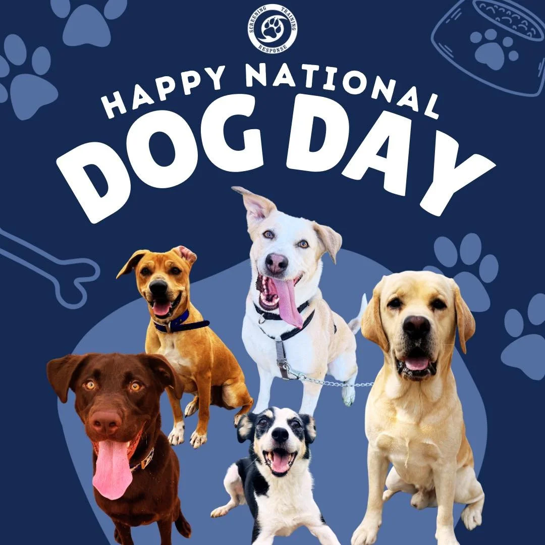 Happy National Dog Day! Take your pup out for an adventure or a pup-cup to celebrate!