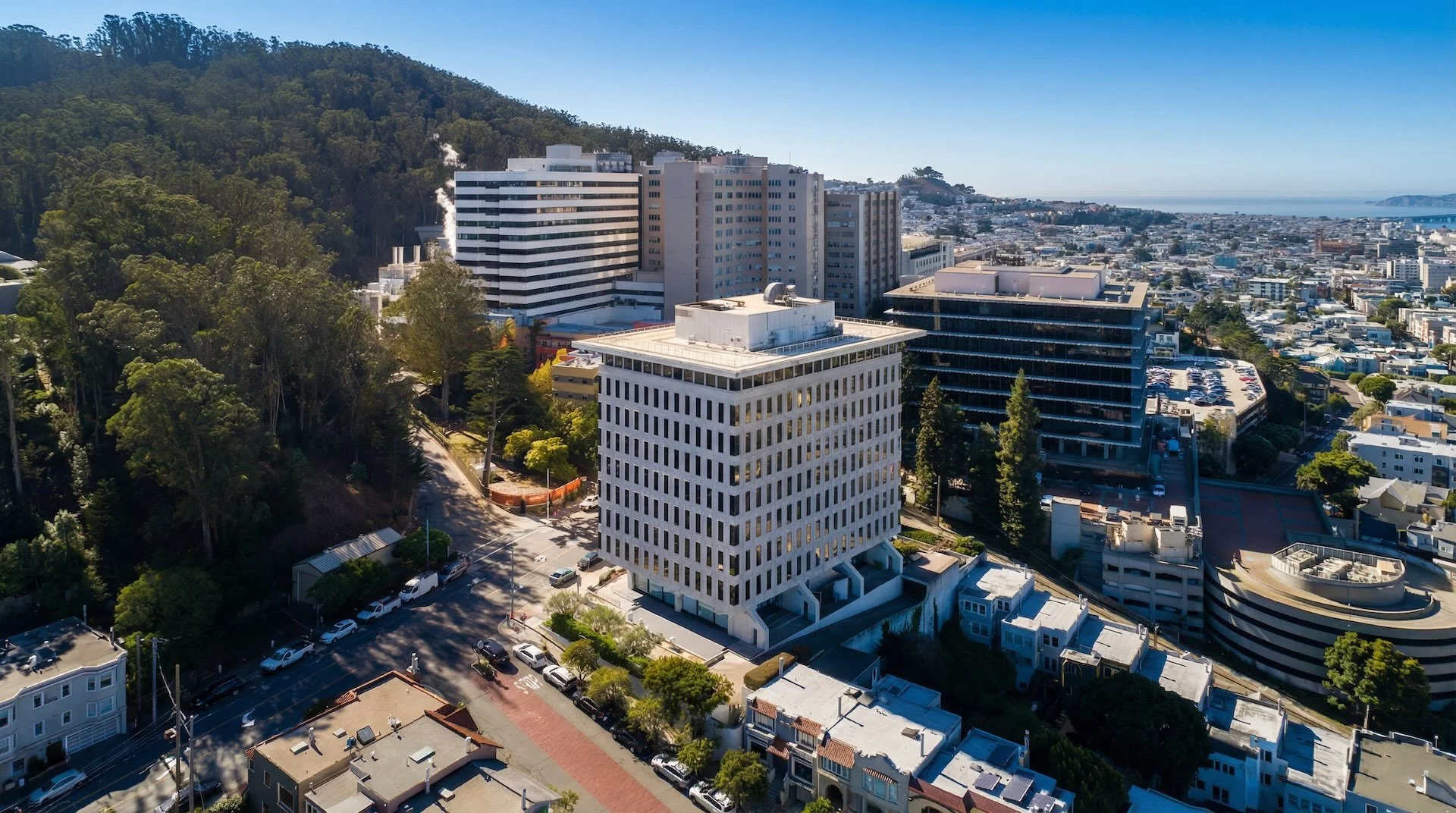 350Parnassus0316G hf_20260124_004150_9ae3f3c4-5835-4c30-a59d-0ecdebb628c6.jpg