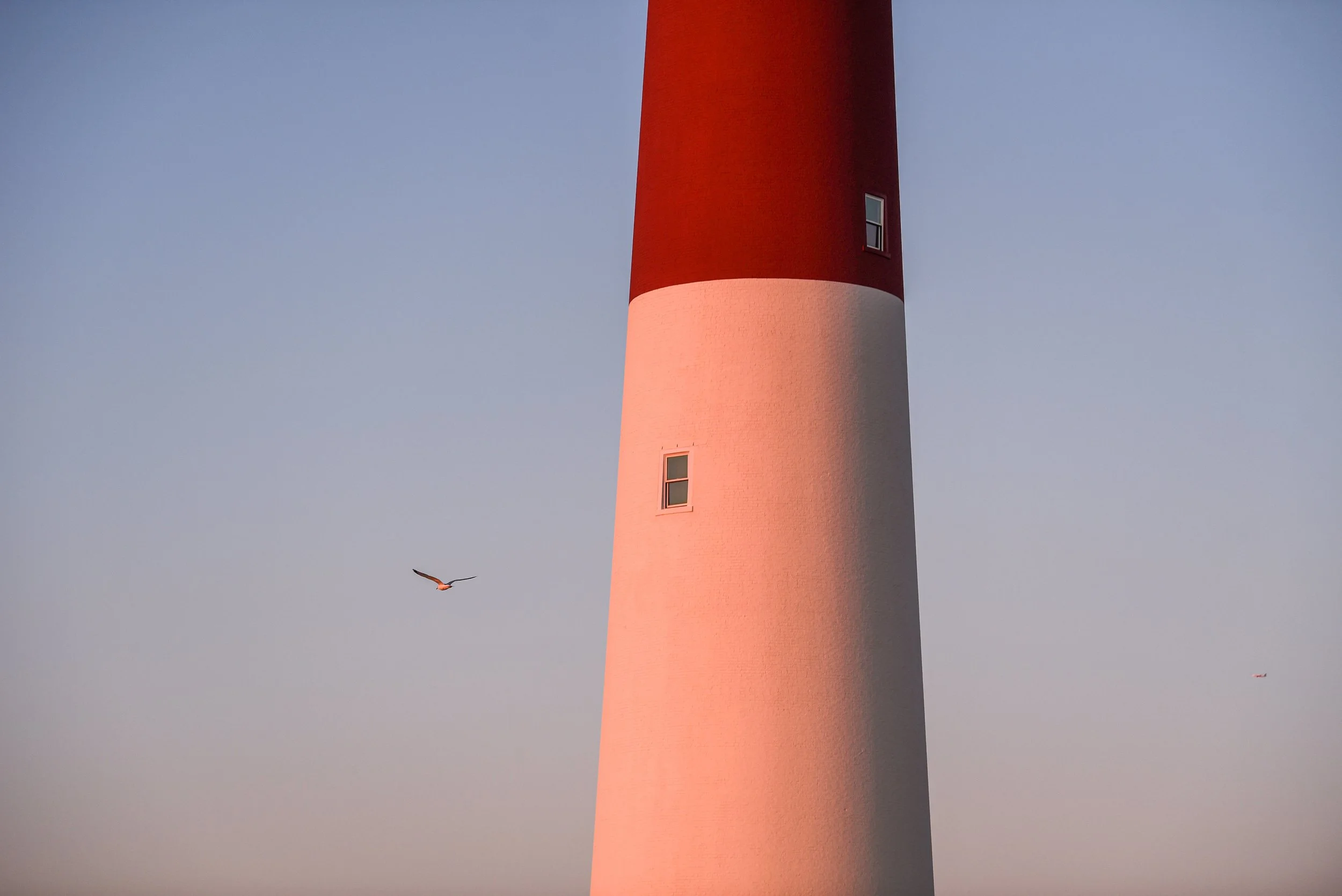 DSC_7528.jpg