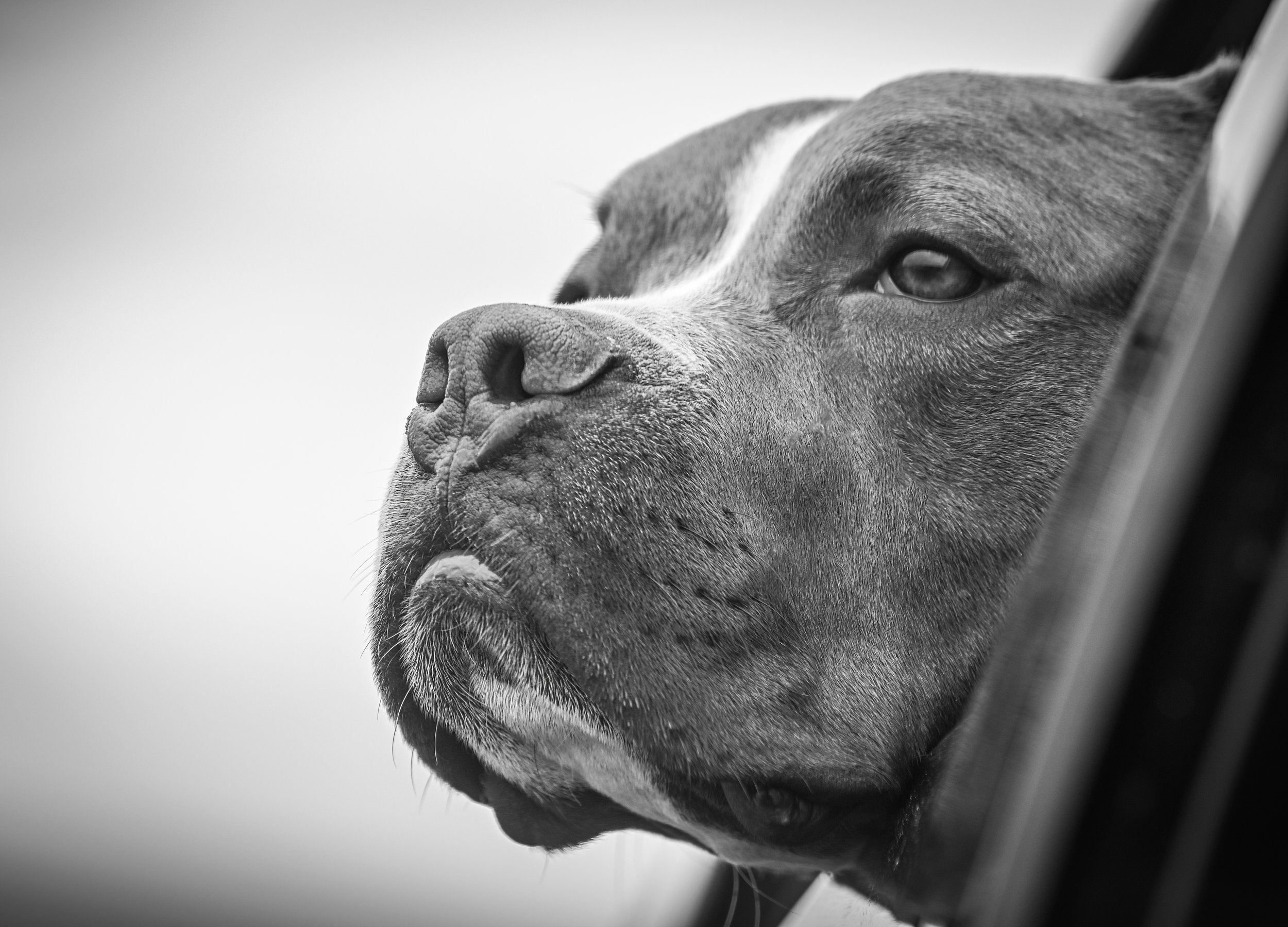 DSC_3695.jpg