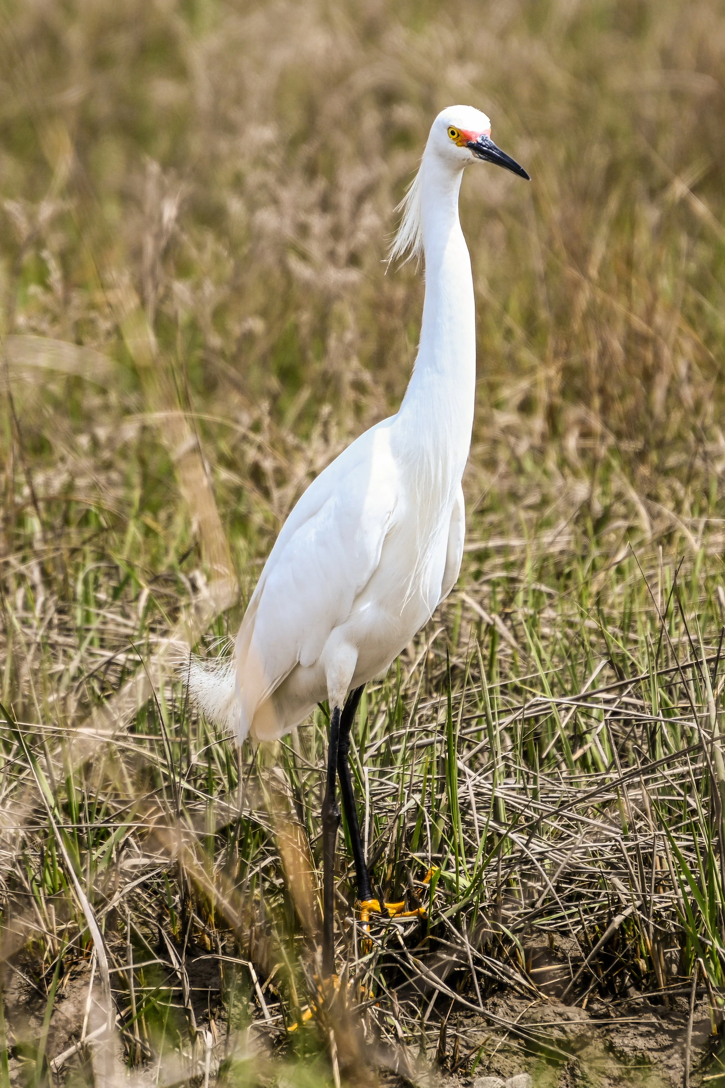 DSC_0152.jpg