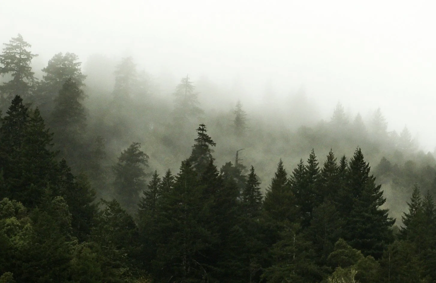 ALW_7644e.jpg
