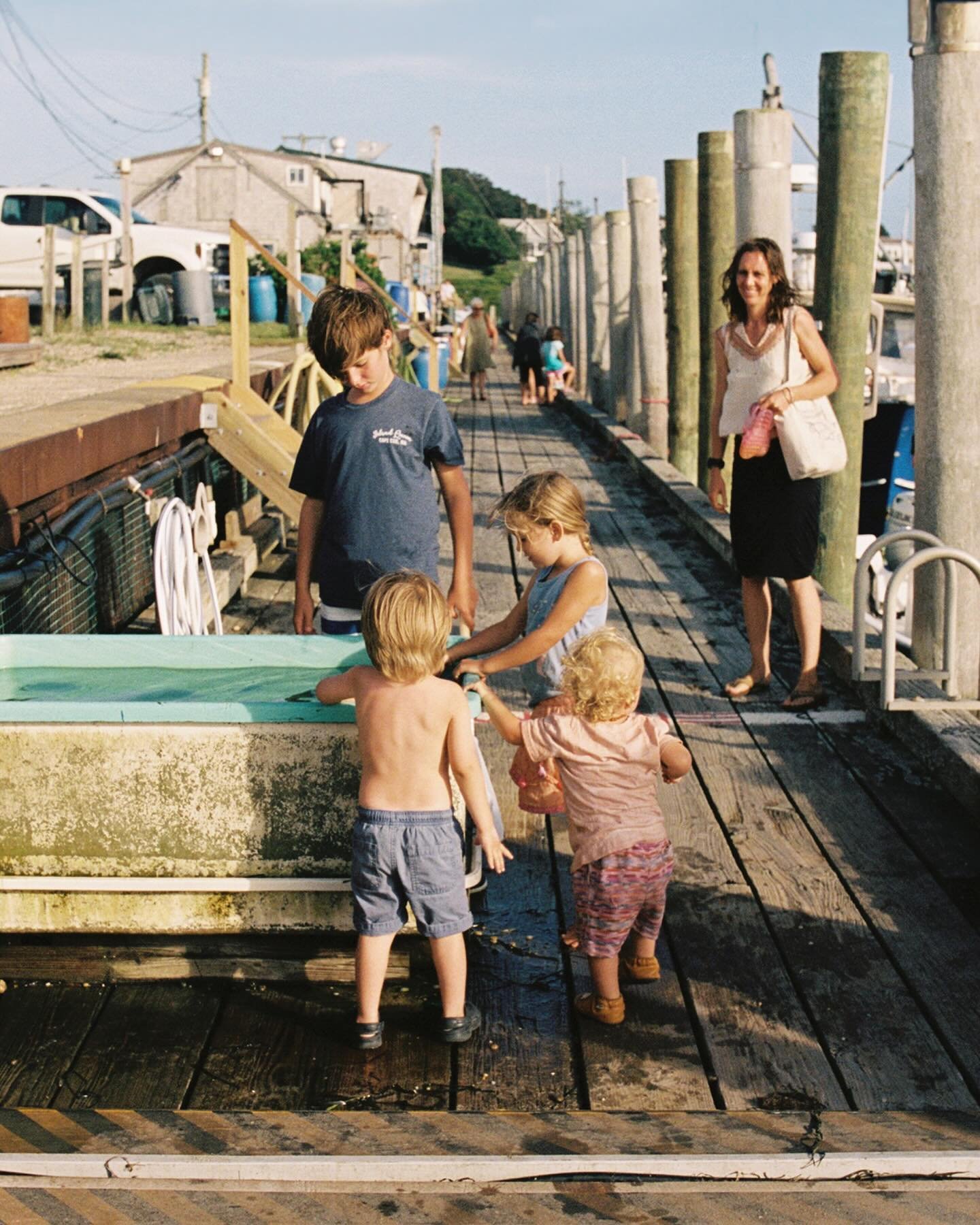 July and August on 35mm. Developed and scanned by @northeastphotographic.