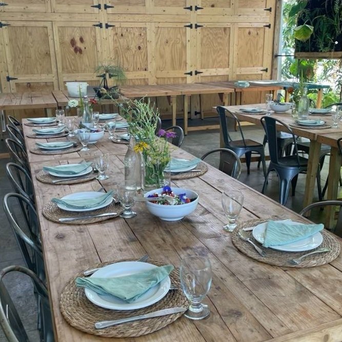 Rustic Reverie: A French Farm Night