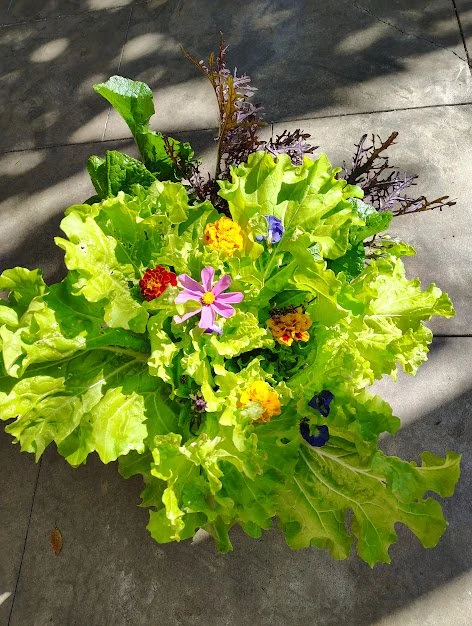 Make Your Own Skin Care Beauty Brunch