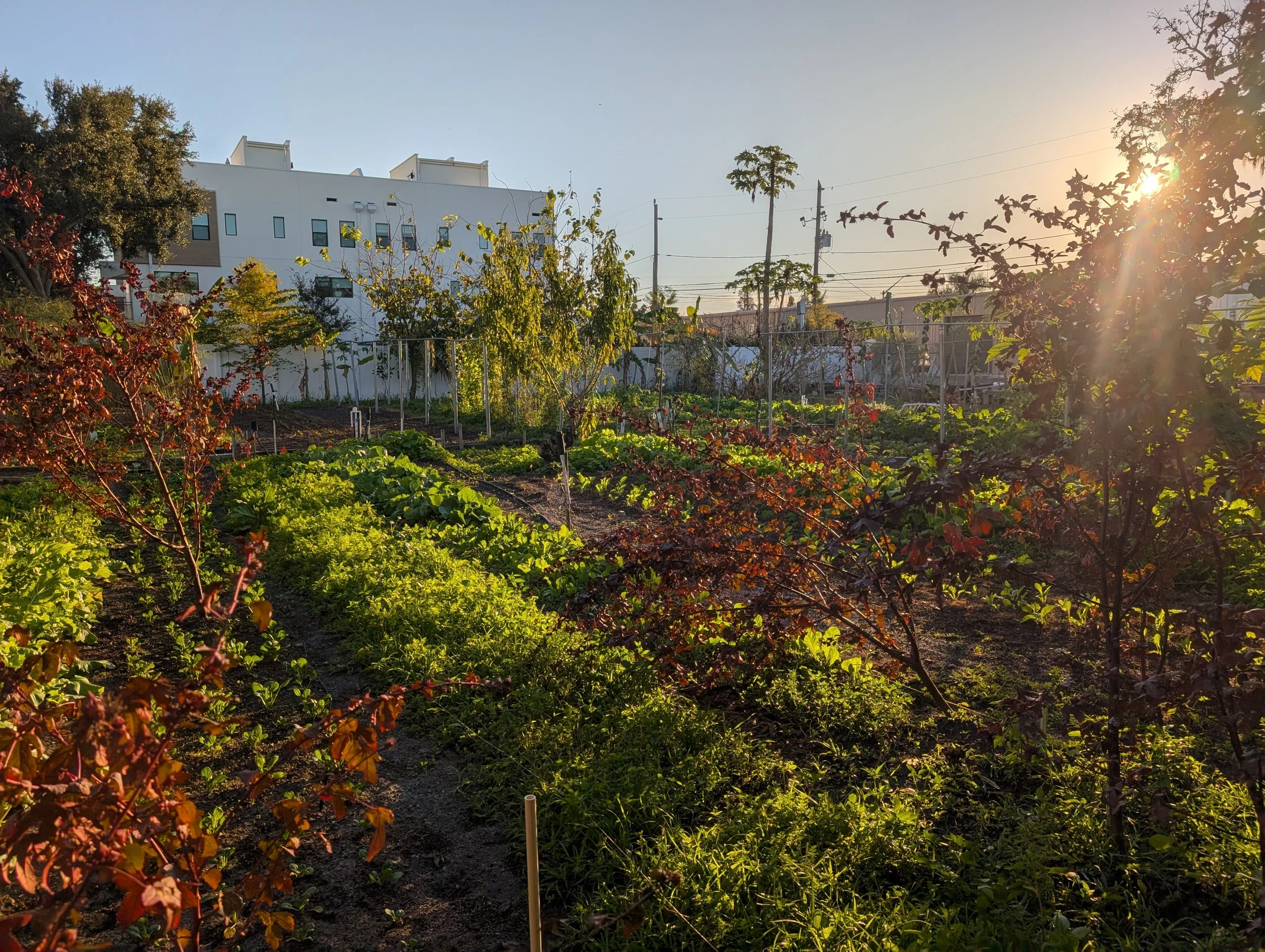 Farm Style Family Dinner