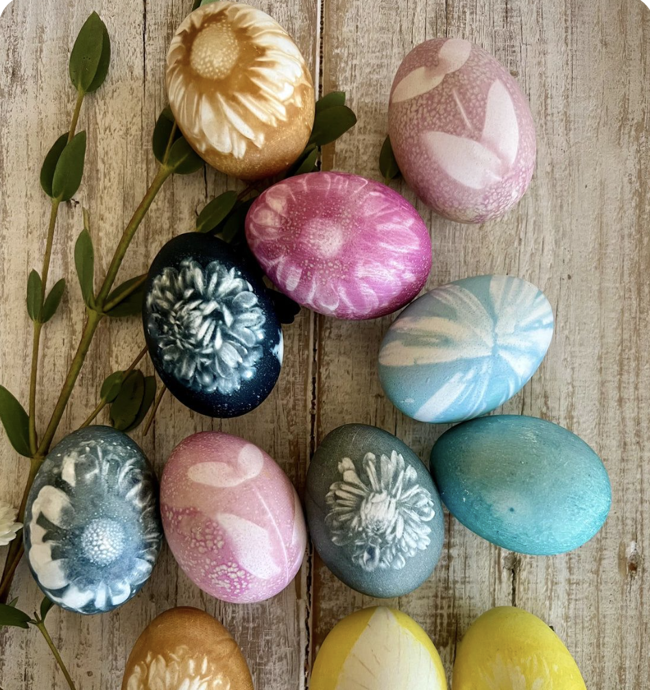 Come use Plants to Dye Easter Eggs @ 15th St Farm