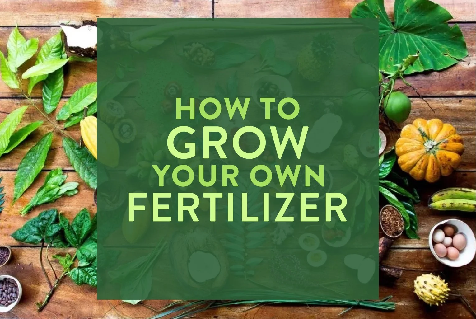 Abundant Summer Gardens —&nbsp;Growing with the Seasons&nbsp;Workshop Series PART #4: How to Grow Your Own Fertilizer