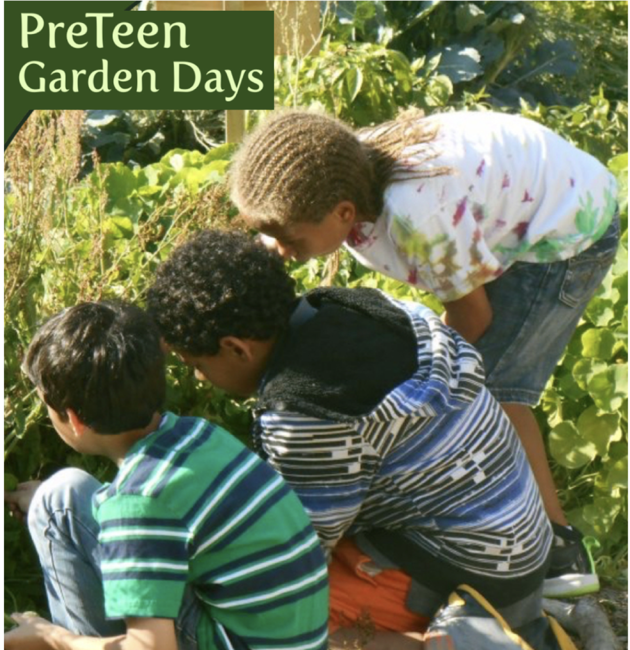 Inside-Out PreTeen Garden Days