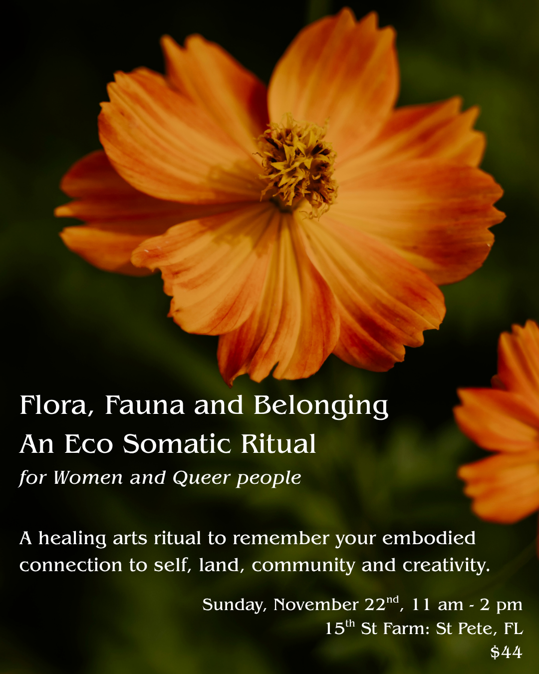 Flora, Fauna and Belonging: An Autumn Eco Somatic Ritual